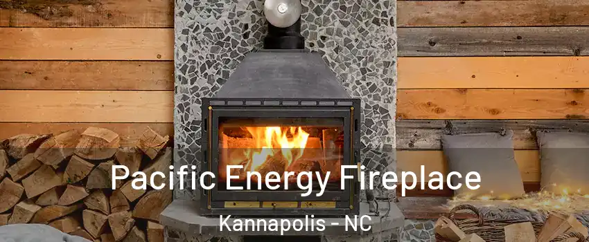 Pacific Energy Fireplace Kannapolis - NC