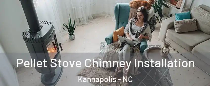  Pellet Stove Chimney Installation Kannapolis - NC