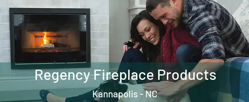  Regency Fireplace Products Kannapolis - NC