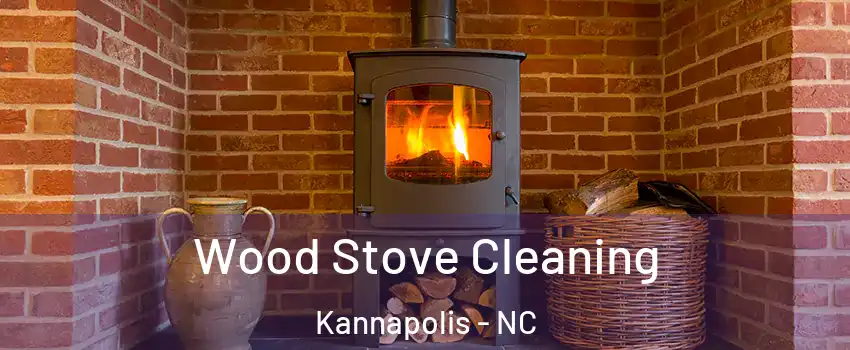  Wood Stove Cleaning Kannapolis - NC